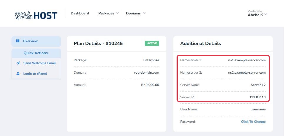 Nameserver 1, Nameserver 2 and Server IP shown under Additional Details on the hosting package page
